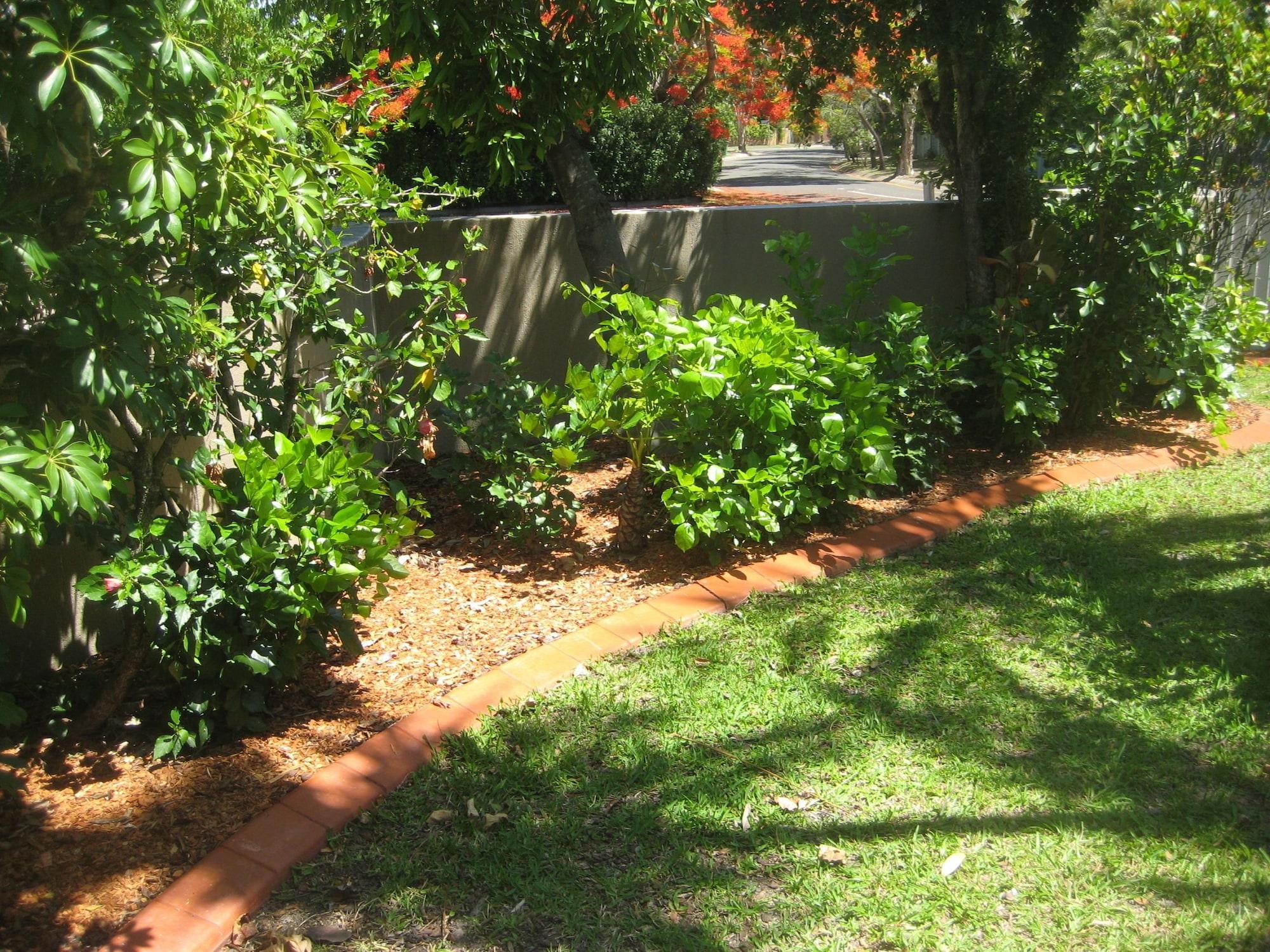Nautilus Noosa Resort Noosaville Exterior foto